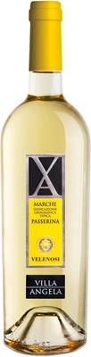 Passerina 'Villa Angela'